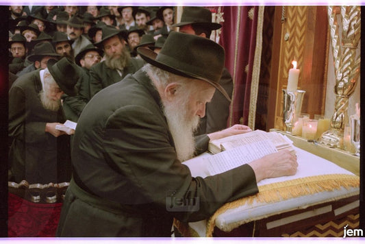 Photo Order - JEM ID #236959 - Prints / 20x30