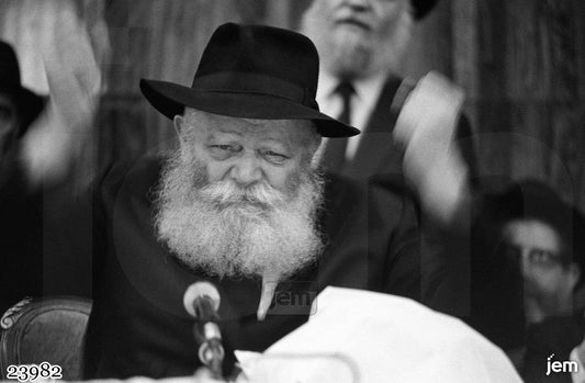 תמונה JEM ID -23982