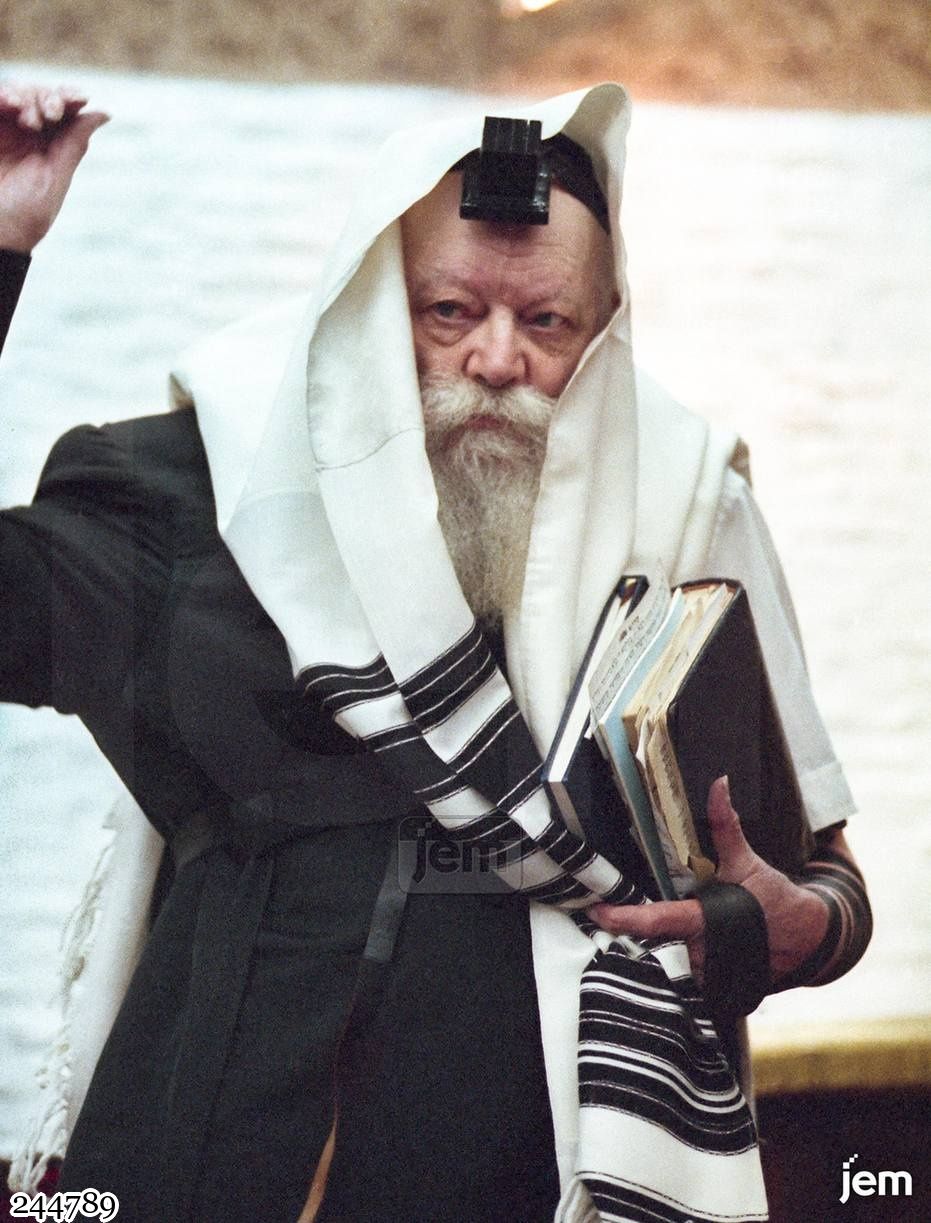 תמונה JEM ID -244789