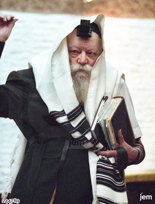 תמונה JEM ID -244789