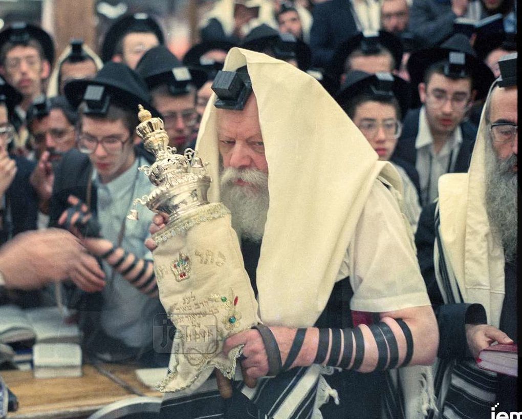 Photo Order - JEM ID #252163 - Canvas / 8x10