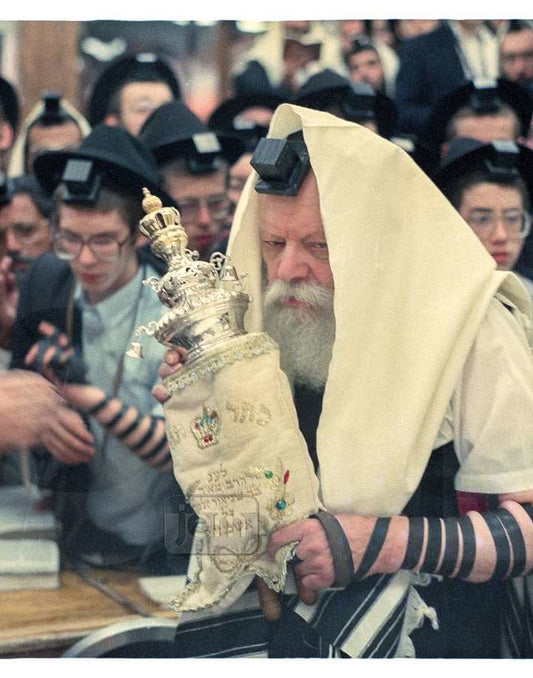 Photo Order - JEM ID #252163 - Canvas / 8x10