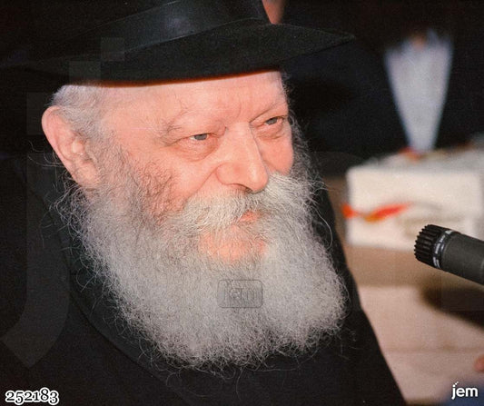 תמונה JEM ID -252183