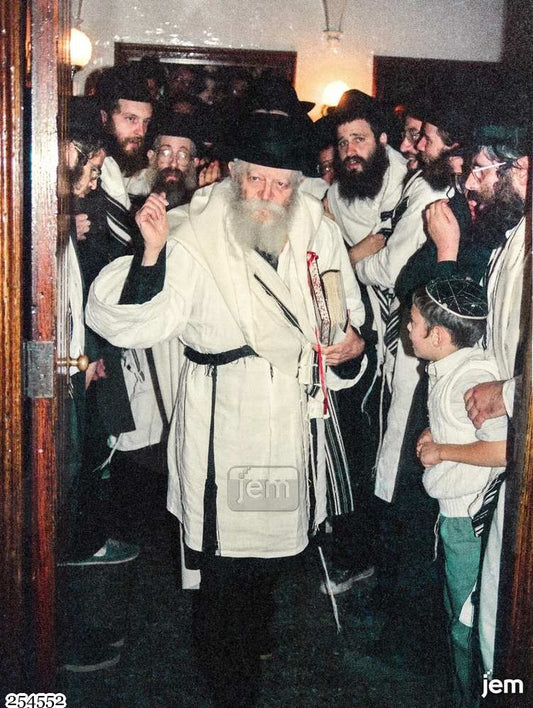תמונה JEM ID -254552
