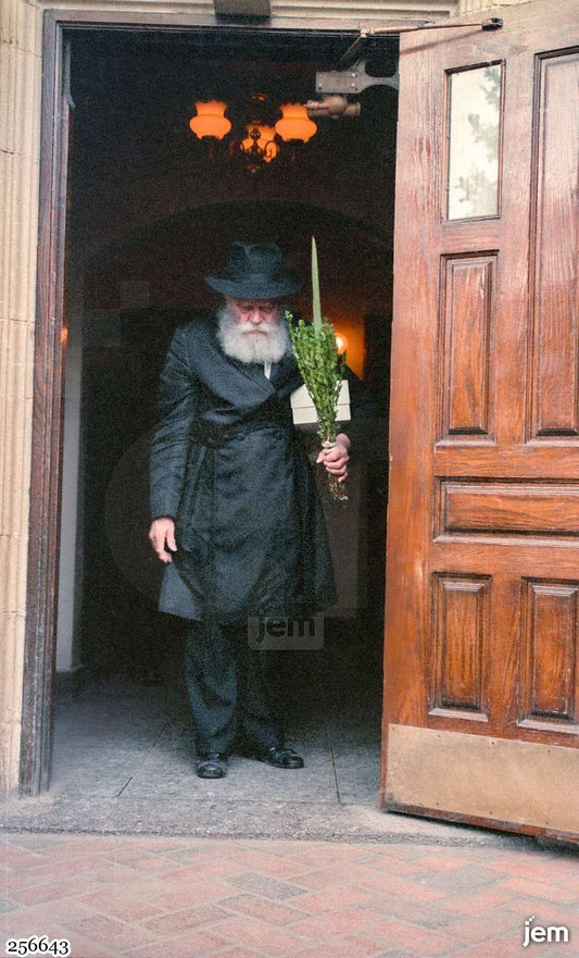 תמונה JEM ID -256643