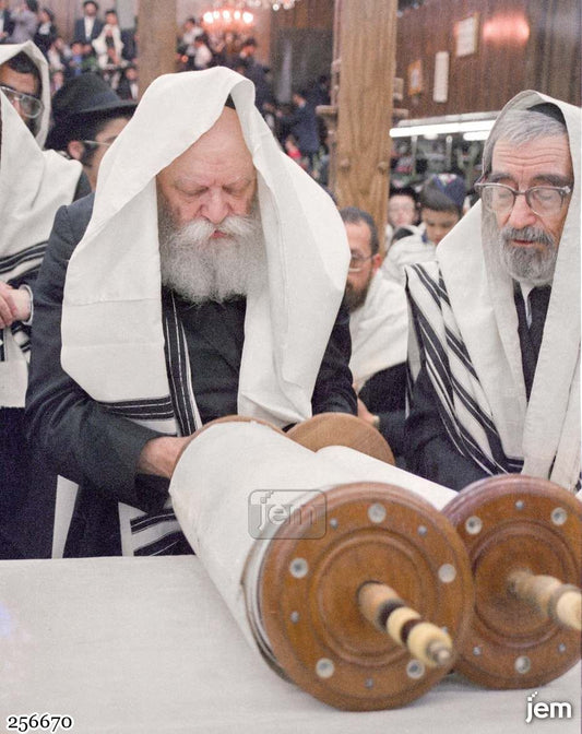 תמונה JEM ID -256670