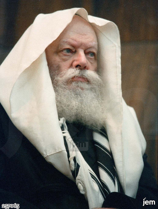 תמונה JEM ID -257065