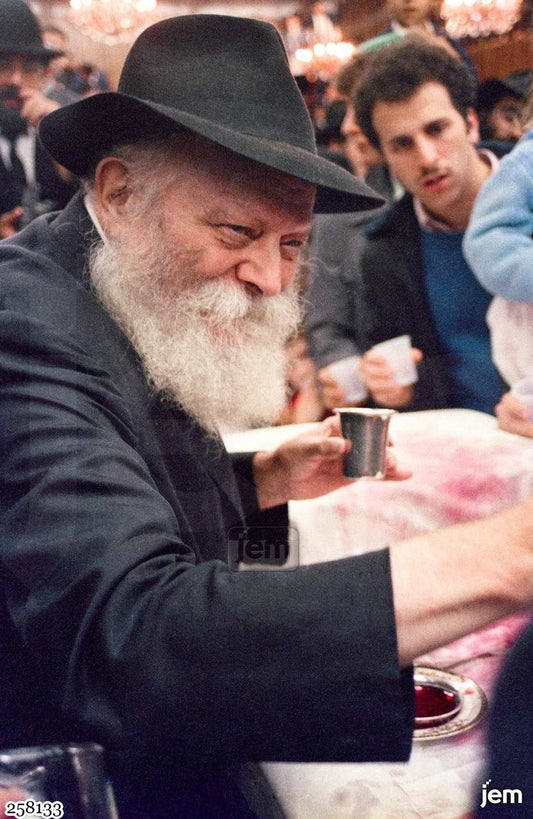 תמונה JEM ID -258133