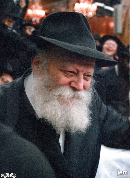 תמונה JEM ID -258165