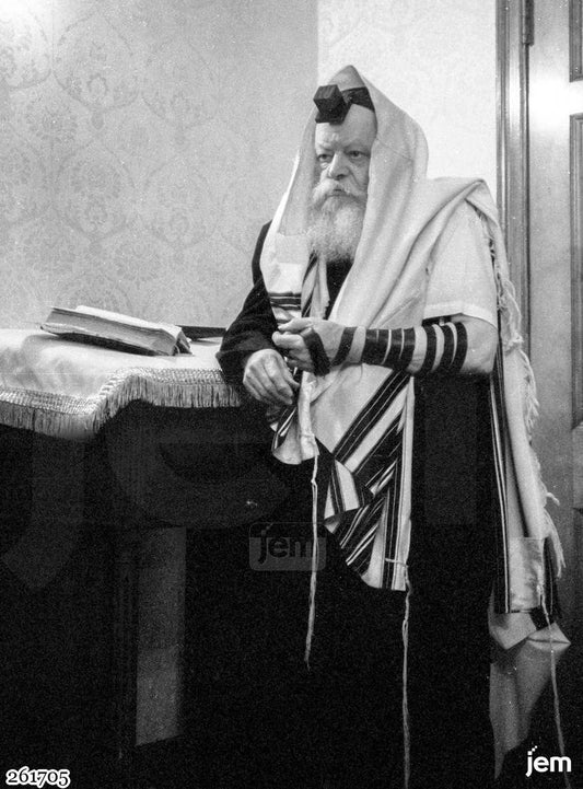 תמונה JEM ID -261705