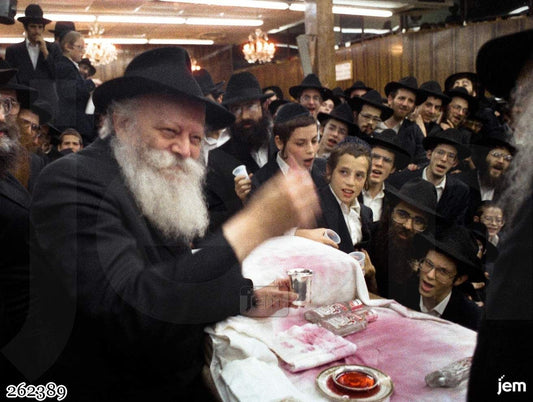 תמונה JEM ID -262389