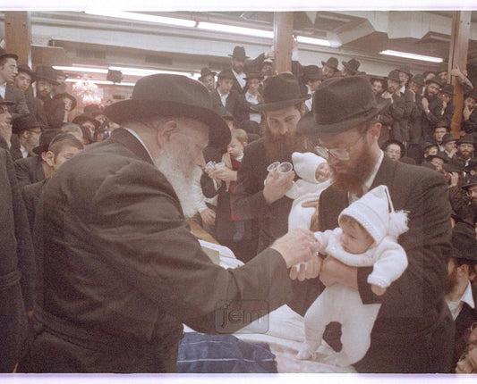 Photo Order - JEM ID #267115 - Prints / 8x10