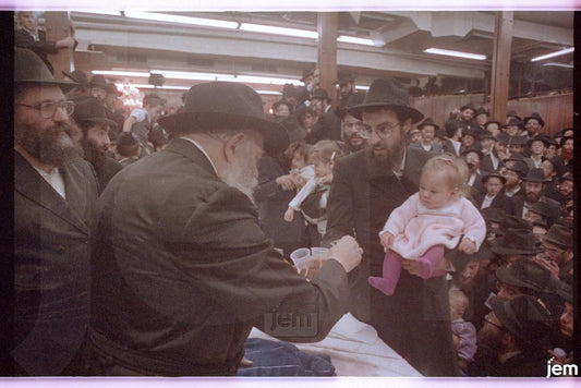 Photo Order - JEM ID #267280 - Prints / 8x12