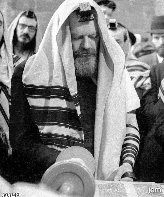 תמונה JEM ID -303149