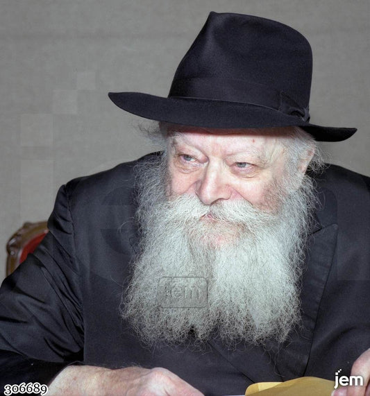 תמונה JEM ID -306689