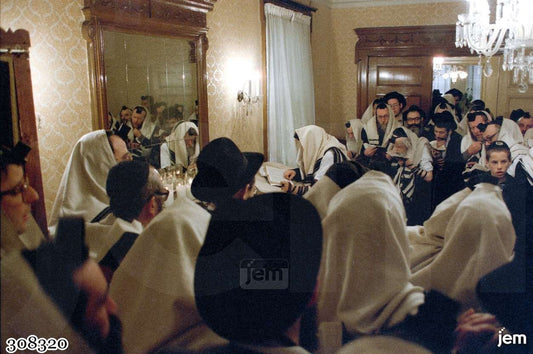תמונה JEM ID -308320