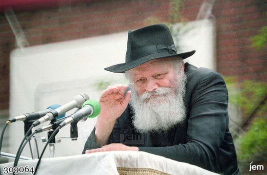 תמונה JEM ID -309064
