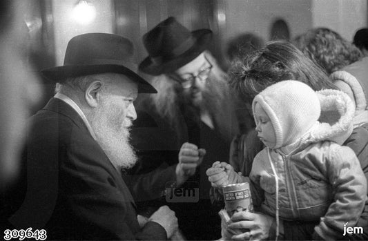 תמונה JEM ID -309643