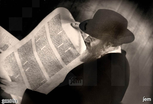 תמונה JEM ID -311061
