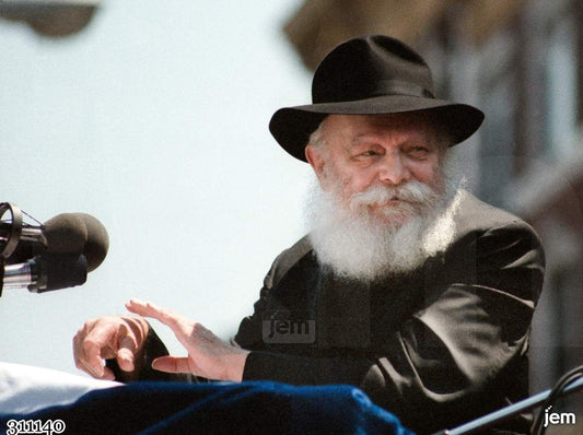 תמונה JEM ID -311140