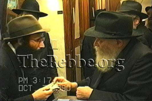 הזמנת סרטון My Moment - מזהי JEM 2311143,2310004,2310005,2310006,2310007,2310008