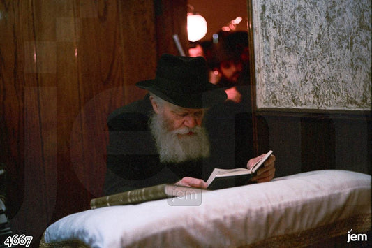 תמונה JEM ID -4667