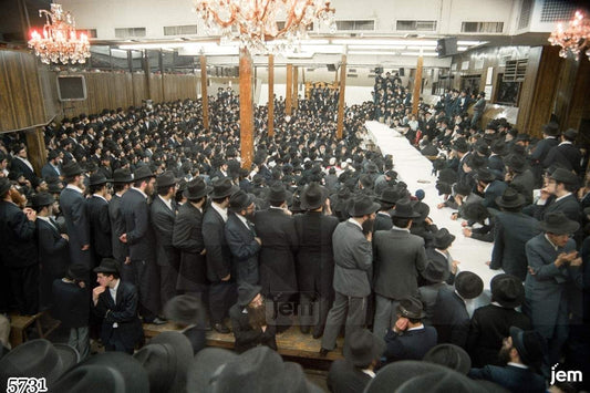 photo - 5731