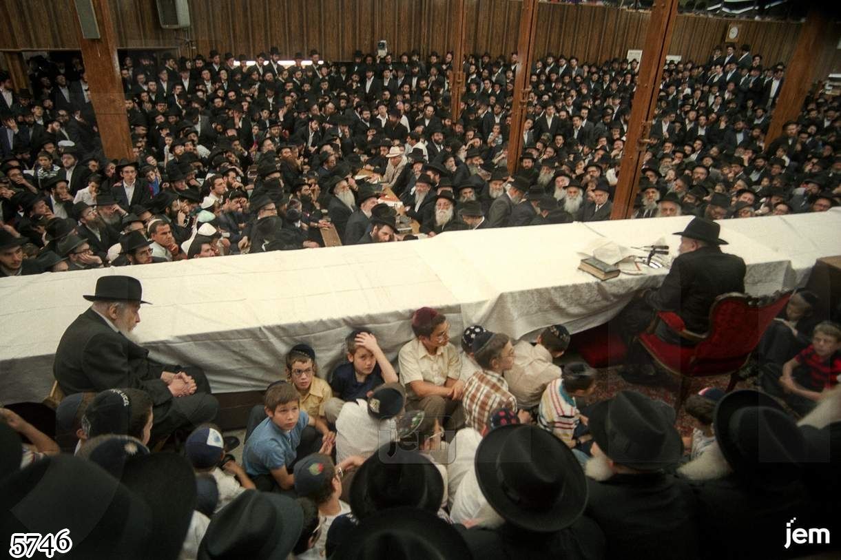 photo - 5746