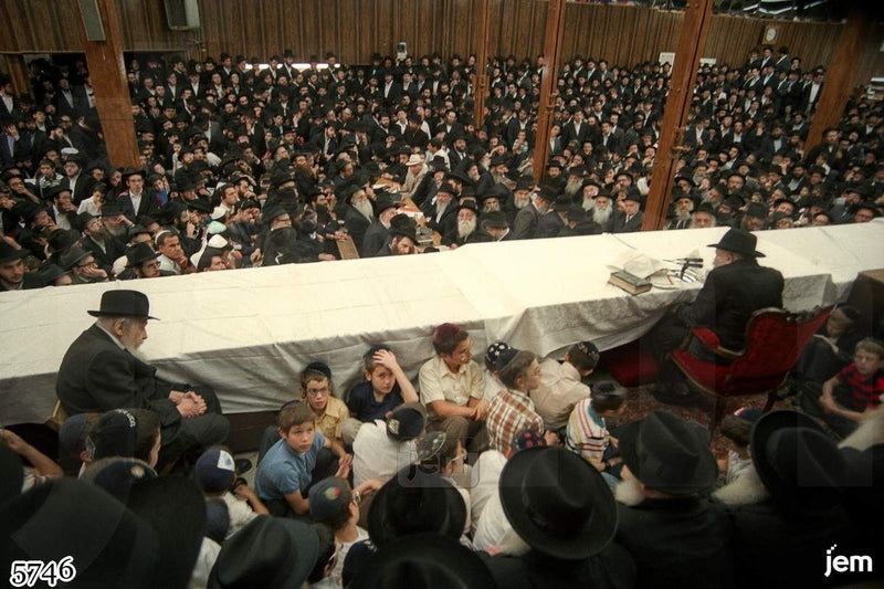 photo - 5746