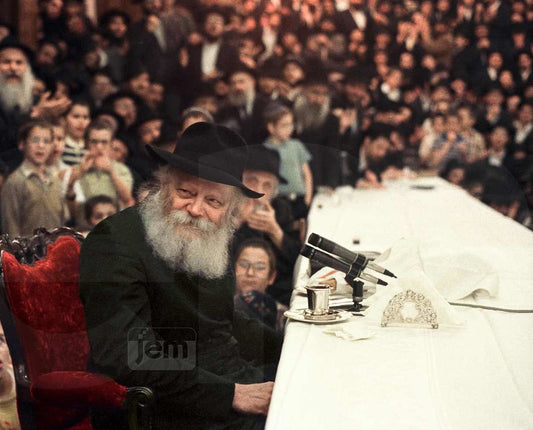 Photo Order - JEM ID #6606 - Prints / 16x20