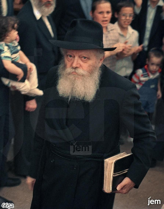 תמונה JEM ID -17466