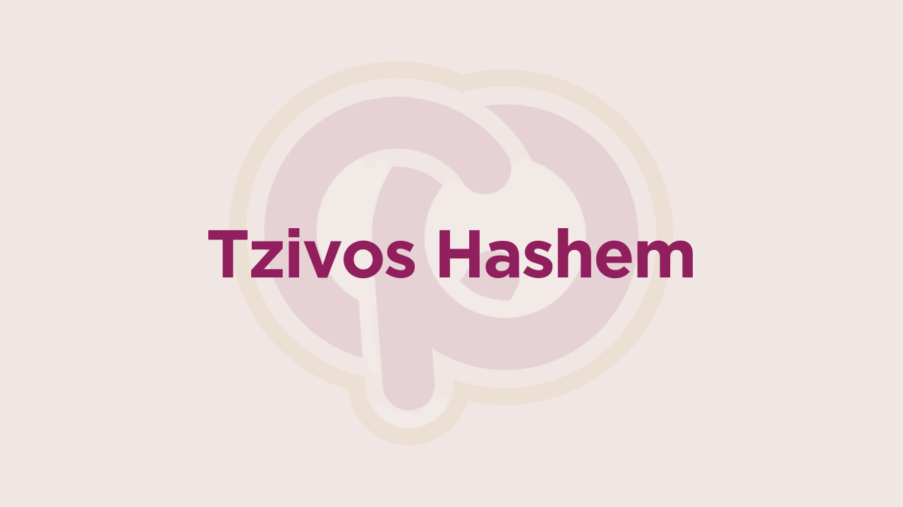 ConnectionPoint Camp -  Tzivos Hashem