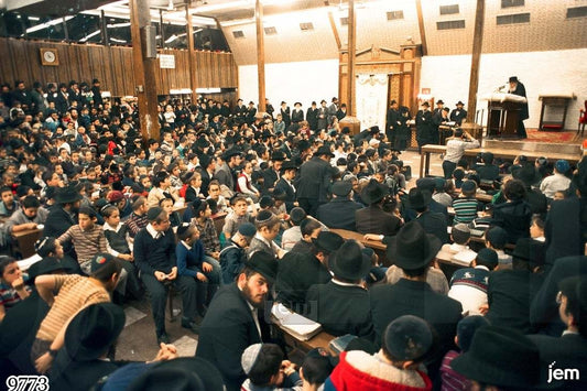 Photo-9773